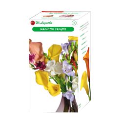 Kouzelný koutek - 22 ks. - Cibule a oddenky - W. Legutko Kouzelný koutek - 22 ks. - Cibule a oddenky - W. Legutko