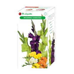 Jarní harmonie - 20 ks. - Cibule a oddenky - W. Legutko Jarní harmonie - 20 ks. - Cibule a oddenky - W. Legutko