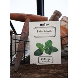 Citronový balzám - Semena - W. Legutko Citronový balzám - Semena - W. Legutko