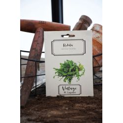 Rukola - Semena - W. Legutko