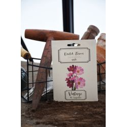 Onnętek, Kosmos - směs - Semena - W. Legutko