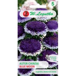 Čínská astra Liliput - Modrý měsíc - Semena - W. Legutko