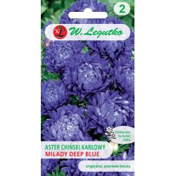 Trpasličí čínská astra - Milady Deep Blue - modrá - Semena - W. Legutko