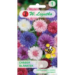 Chrpa - směs - Semena - W. Legutko