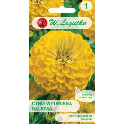 Cínie - elegantní - jiřina - Kanárský pták - Semena - W. Legutko