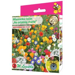 Směs jednoletých rostlin - Last minute - 125g - Semena - W. Legutko