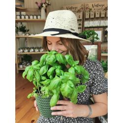 Dámská čepice - Malwa - Zahradní doplňky - W. Legutko Dámská čepice - Malwa - Zahradní doplňky - W. Legutko