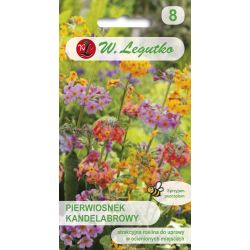 Prvosenka - svícen - mix - Semena - W. Legutko