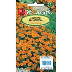 Tagetes úzkolistý - Orange Gem - Semena - W. Legutko
