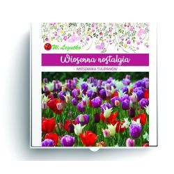 Jarní nostalgie - složení květinových cibulí - 20 ks. - Cibule a oddenky - W. Legutko Jarní nostalgie - složení květinových cibulí - 20 ks. - Cibule a oddenky - W. Legutko