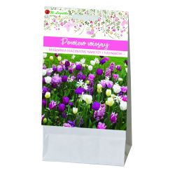 Závan jara - složení květinových cibulí - 15 ks. - Cibule a oddenky - W. Legutko