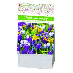 Vítání jara - složení květinových cibulí - 20 ks. - Cibule a oddenky - W. Legutko