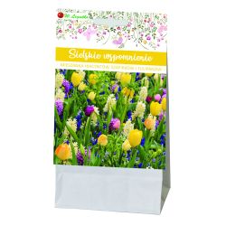 Idylická vzpomínka - kompozice květinových cibulí - 20 ks. - Cibule a oddenky - W. Legutko Idylická vzpomínka - kompozice květinových cibulí - 20 ks. - Cibule a oddenky - W. Legutko