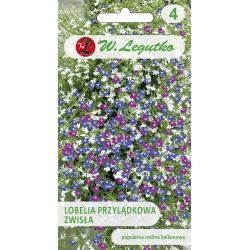 Cape lobelia visící - mix - Semena - W. Legutko Cape lobelia visící - mix - Semena - W. Legutko