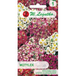Motýl - směs - Semena - W. Legutko
