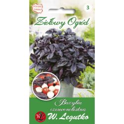 Bazalka - správná - červená - Semena - W. Legutko Bazalka - správná - červená - Semena - W. Legutko