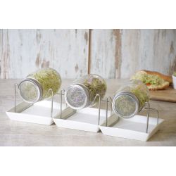 Sada 3x skleněných ražeb se stojánkem, 0,5l - Zahradní doplňky - W. Legutko Sada 3x skleněných ražeb se stojánkem, 0,5l - Zahradní doplňky - W. Legutko