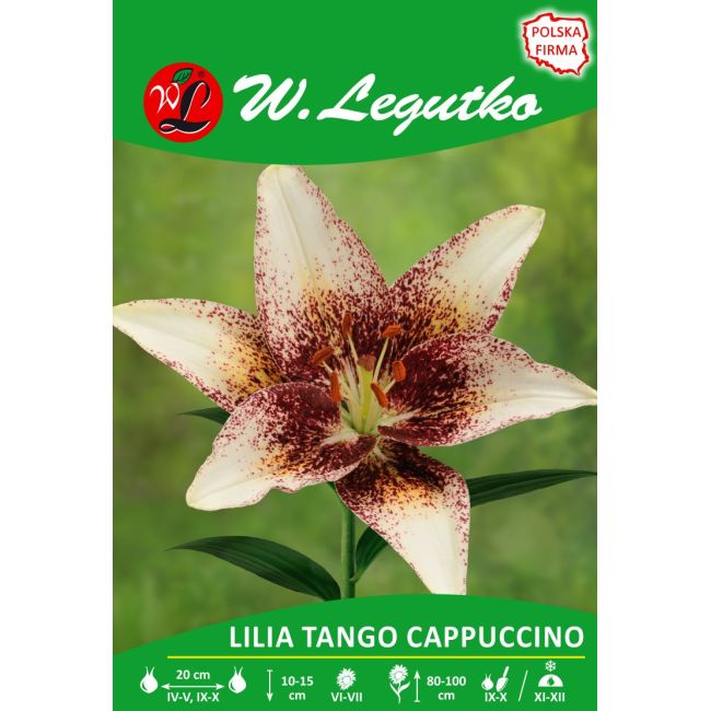 Lilia - Tango Cappuccino - Asijské - krémová - 1 ks. - Cibule a oddenky - W. Legutko Lilia - Tango Cappuccino - Asijské - krémová - 1 ks. - Cibule a oddenky - W. Legutko
