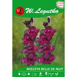 Mečík - Belle de Nuit - vícekvětý - vínový - 5 ks. - Cibule a oddenky - W. Legutko Mečík - Belle de Nuit - vícekvětý - vínový - 5 ks. - Cibule a oddenky - W. Legutko