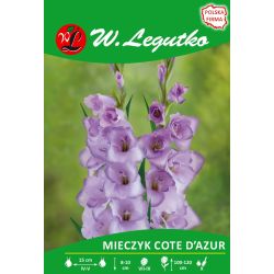 Mečík - Cote d`Azur - vícekvětý - modrý - 5 ks. - Cibule a oddenky - W. Legutko Mečík - Cote d`Azur - vícekvětý - modrý - 5 ks. - Cibule a oddenky - W. Legutko