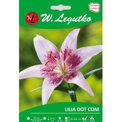 Lily - Dot Com - Asijská - Růžová - 1 ks. - Cibule a oddenky - W. Legutko