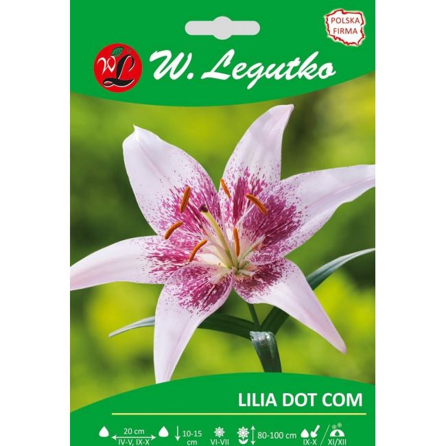 Lily - Dot Com - Asijská - Růžová - 1 ks. - Cibule a oddenky - W. Legutko Lily - Dot Com - Asijská - Růžová - 1 ks. - Cibule a oddenky - W. Legutko