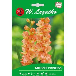 Mečík - Princess - vícekvětý - oranžový - 5 ks. - Cibule a oddenky - W. Legutko