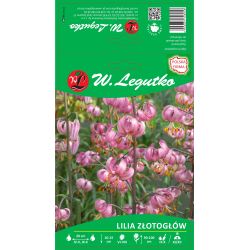 Krajková lilie - fialová - 1 ks. - Cibule a oddenky - W. Legutko Krajková lilie - fialová - 1 ks. - Cibule a oddenky - W. Legutko