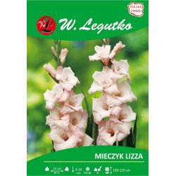 Mečík - Lizza - vícekvětý - krémový - 5 ks. - Cibule a oddenky - W. Legutko Mečík - Lizza - vícekvětý - krémový - 5 ks. - Cibule a oddenky - W. Legutko