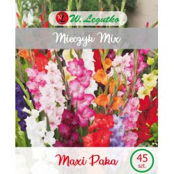 Mečík - vícekvětý - mix - 45 ks. - Cibule a oddenky - W. Legutko Mečík - vícekvětý - mix - 45 ks. - Cibule a oddenky - W. Legutko