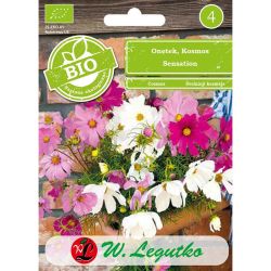 Onnętek, Kosmos Sensation - mix - Semena - W. Legutko Onnętek, Kosmos Sensation - mix - Semena - W. Legutko