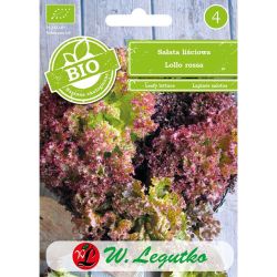 Salát - Lollo rossa - Semena - W. Legutko Salát - Lollo rossa - Semena - W. Legutko