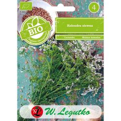 Semínko koriandru - Semena - W. Legutko