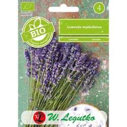Levandule - úzkolistá - Semena - W. Legutko Levandule - úzkolistá - Semena - W. Legutko
