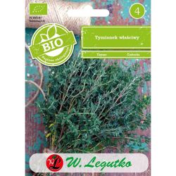 Tymián – ten pravý - Semena - W. Legutko