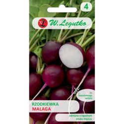 Kulatá ředkev - Malaga - Semena - W. Legutko