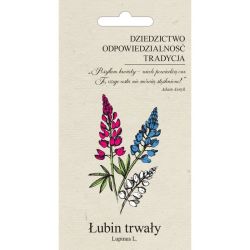 Lupina - odolná - zahradní - Semena - W. Legutko