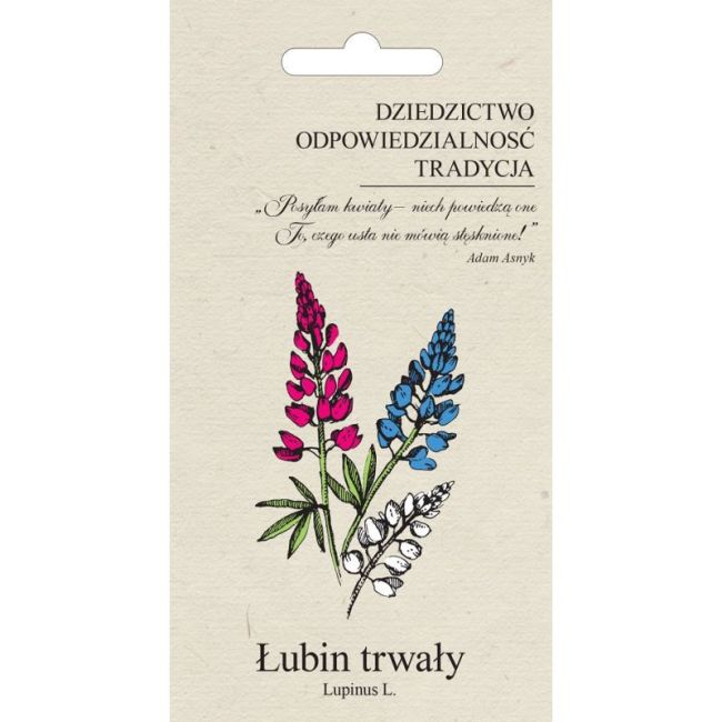 Lupina - odolná - zahradní - Semena - W. Legutko Lupina - odolná - zahradní - Semena - W. Legutko