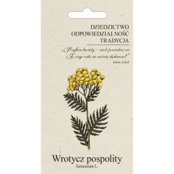 Tansy obecná - Semena - W. Legutko