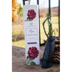 Velkokvětá růže Cigne Noir - Cibule a oddenky - W. Legutko