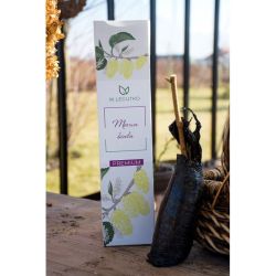 Moruše bílá - Cibule a oddenky - W. Legutko