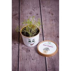 Pane Dill - ZDRAVÉ SESTAVY - W. Legutko Pane Dill - ZDRAVÉ SESTAVY - W. Legutko