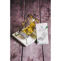 Health jar - semena pro klíčky - ZDRAVÉ SESTAVY - W. Legutko Health jar - semena pro klíčky - ZDRAVÉ SESTAVY - W. Legutko