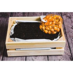 Blizzard box - ZDRAVÉ SESTAVY - W. Legutko Blizzard box - ZDRAVÉ SESTAVY - W. Legutko