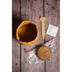 Květináč bazalka - ZDRAVÉ SESTAVY - W. Legutko Květináč bazalka - ZDRAVÉ SESTAVY - W. Legutko