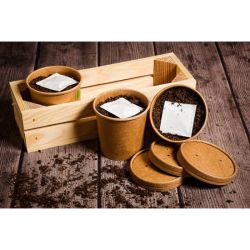 Zelená krabice - ZDRAVÉ SESTAVY - W. Legutko Zelená krabice - ZDRAVÉ SESTAVY - W. Legutko