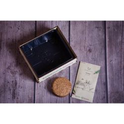 Kitty box - ZDRAVÉ SESTAVY - W. Legutko Kitty box - ZDRAVÉ SESTAVY - W. Legutko