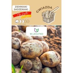 Sadbové brambory - Hvězda - Cibule a oddenky - W. Legutko Sadbové brambory - Hvězda - Cibule a oddenky - W. Legutko