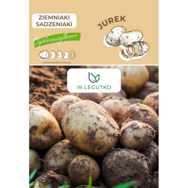 Sadbové brambory - Jurek - Cibule a oddenky - W. Legutko Sadbové brambory - Jurek - Cibule a oddenky - W. Legutko