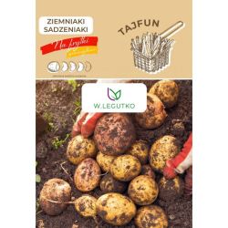 Sadbové brambory - Tajfun - Cibule a oddenky - W. Legutko Sadbové brambory - Tajfun - Cibule a oddenky - W. Legutko